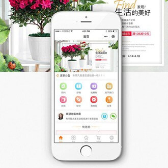 德江县门店微商城小程序开发