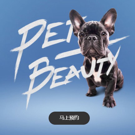 德江县宠物中心小程序开发